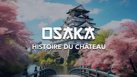lhistoire-du-chateau-dosaka