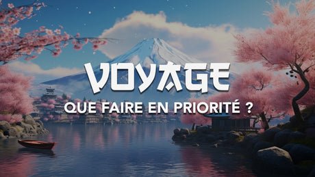 comment-occuper-son-voyage-au-japon