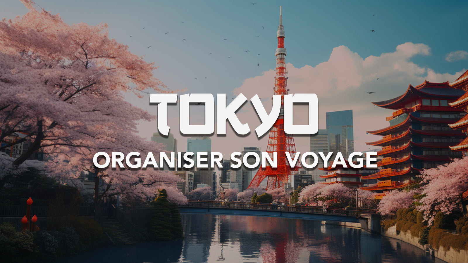 organiser-son-voyage-a-tokyo