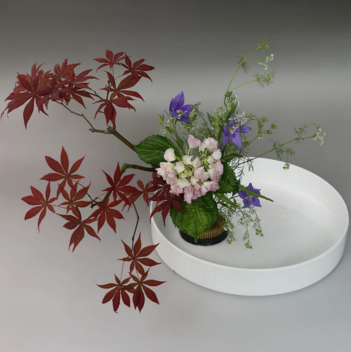 Vase ikebana en plastique