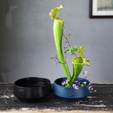 Vase ikebana rond en céramique