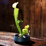 Vase ikebana rond en céramique
