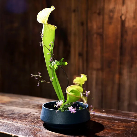 🎋Ikebana vases  In the heart of Japan – Au coeur du Japon