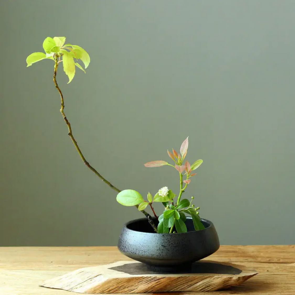 Vase ikebana moribana noir rond en hauteur