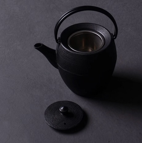 Japanese cast iron teapot