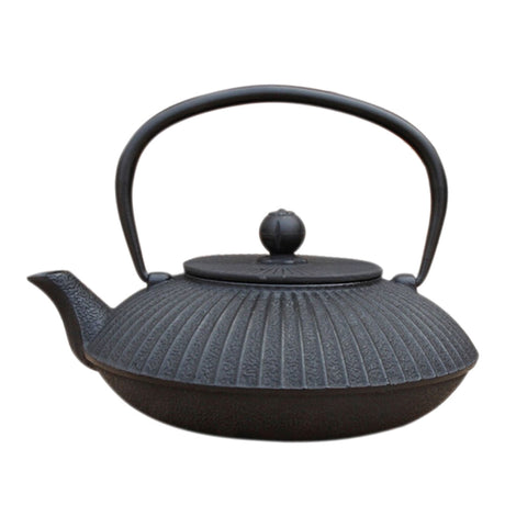 theiere-japonaise-fonte-traditionnelle